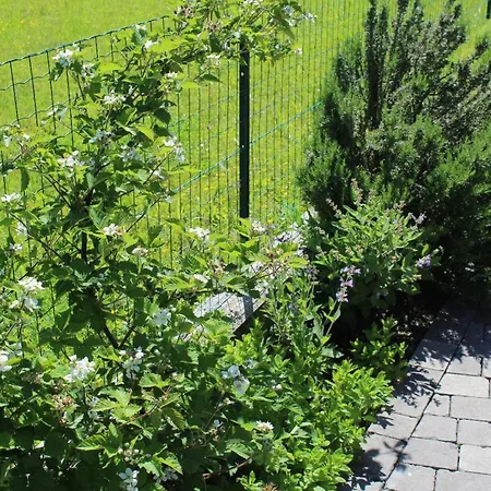 Madi San Lorenzo (Friuli-Venezia Giulia)