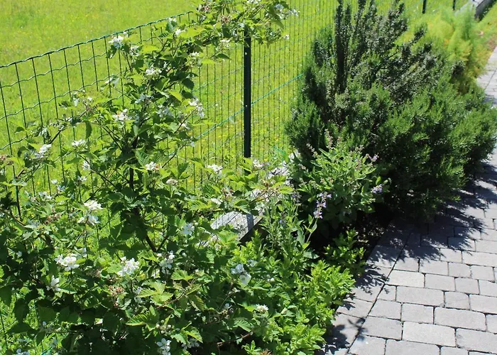 Madi San Lorenzo (Friuli-Venezia Giulia)